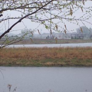 Meet your Posher, Connie